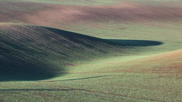 Abstracte Natuur Achtergrond Rollende Heuvels Van Groene Gele Tarwevelden Minimalistisch — Stockfoto