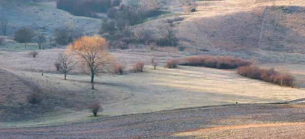 Vorst Winterrijen Wijngaarden Het Koude Seizoen Zuid Moravië Tsjechië Landbouwlandschap — Stockfoto