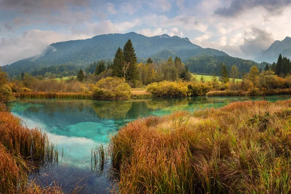 Zelenci Meer Triglav Nationaal Park Herfst Kranjska Gora Achtergrond — Stockfoto