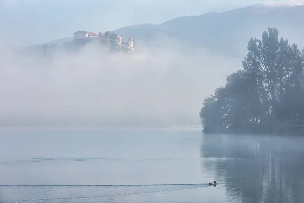 Mist Bled Lake Boot Met Toeristen Slovenië — Stockfoto