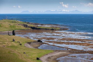 İzlanda'daki Atlas Okyanusu kıyısında