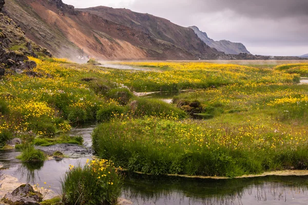 在 Landmannalaugar，冰岛山谷热溪 — 图库照片