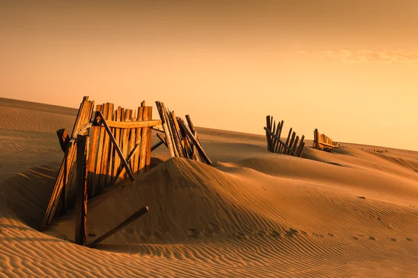 Fences in the sand — Stock Photo, Image