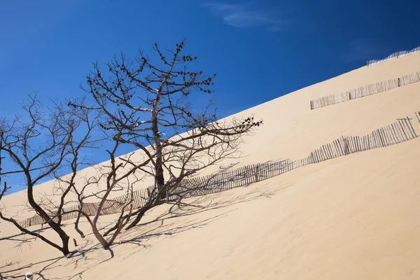 Cea mai înaltă dună de nisip din Europa Pilat — Fotografie, imagine de stoc