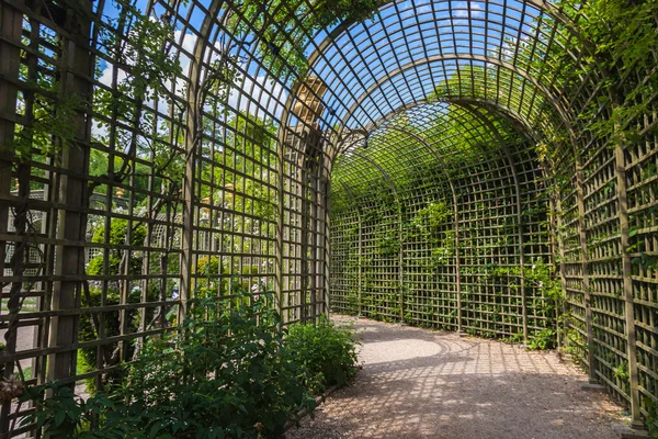 Alley in the trellis in gardens of Versailles palace — Stock Photo, Image