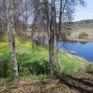 Bahar orman ve nehir