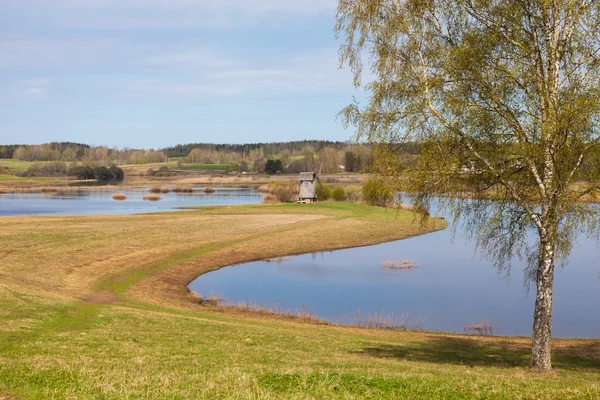 Frühjahrsflut des Flusses — Stockfoto