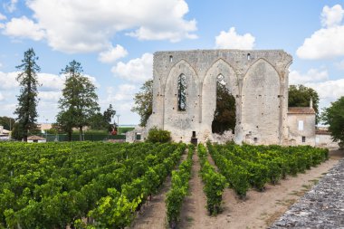 Yıkık kilise, Bordeaux Saint Emilion bağlar