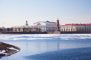 St.Petersburg Island'da Vasilyevsky tükürmek