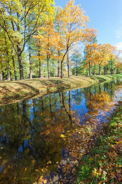 Autumn landscape, trees reflected in the river — Stock Photo, Image