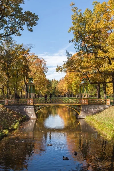 Small Chinese bridge in the Alexander Park of Tsarskoye Selo — Stock Photo, Image