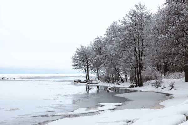 Winter landscape with snow covered trees — Stock Photo, Image