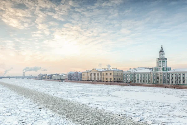 겨울, Vasilevsky 섬, 세인트 애완 동물의 제방에에서 Neva 강 — 스톡 사진