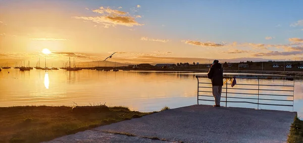 Muž Těší Východ Slunce Mola — Stock fotografie