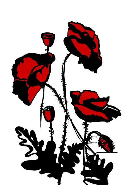 Coquelicots rouges et noirs — Image vectorielle