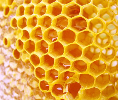 Makro hineycomb bal ile