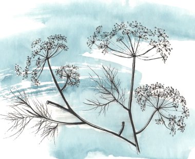 hand draw milfoil on stem