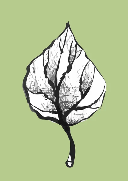 Hand drawn black and white leaf — Stockový vektor