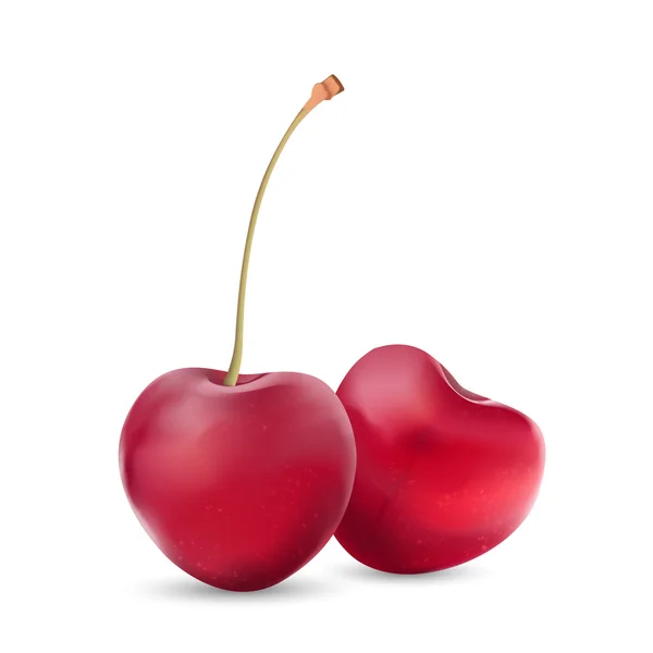 Realistic two red cherries — Stock Vector