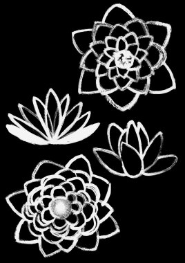 kuru fırça lotus seti