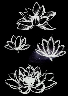 kuru fırça lotus seti