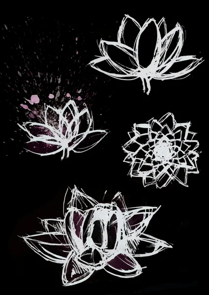 Ξηρό βούρτσα lotus σετ — Διανυσματικό Αρχείο
