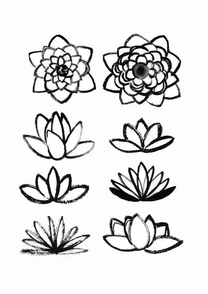 Brosse sèche lotus ensemble — Image vectorielle