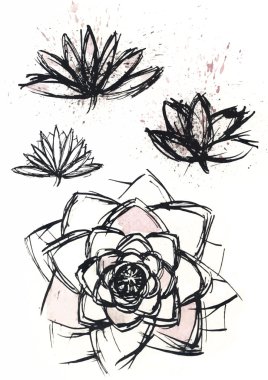 dry brush  lotus set clipart