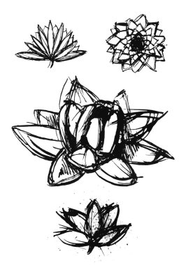 kuru fırça lotus seti