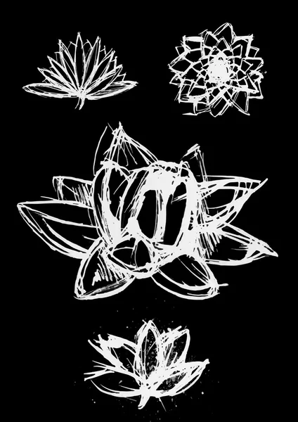 Száraz kefe lotus készlet — Stock Vector