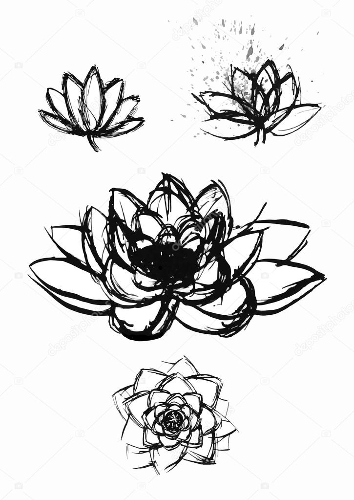 dry brush  lotus set
