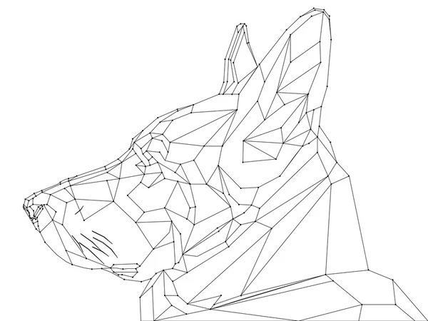 Low-Poly-Schäferschnauze — Stockvektor