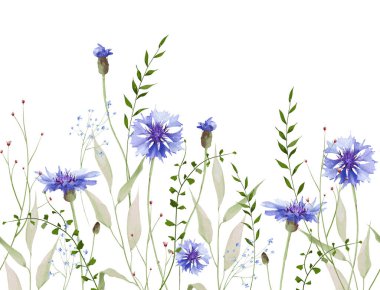 Suluboya çiçekli, yatay, pürüzsüz sınır çerçevesi. Meadow blue cornflowers, not forget me-not wild flowers, green branches, leaves. El çizimi tarzı illüstrasyon. Sanatsal şablon tasarımı.