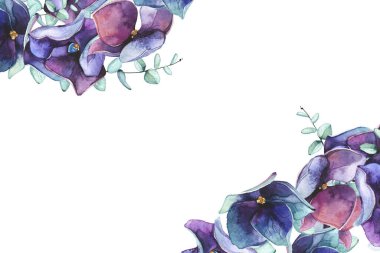 Suluboya el maviye boyanmış, menekşe rengi, mor ortanca çiçekleri, turkuaz okaliptüs dalları, yapraklar çerçeve. Çiçek şablon tasarımı.