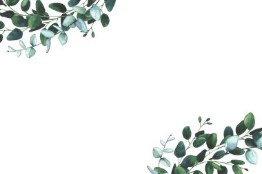 Suluboya el boyası yeşil, mavi, turkuaz okaliptüs dalları ve yaprak çerçevesi. Çiçek şablonu tasarımı clipart.