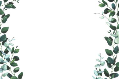 Suluboya el boyası yeşil, mavi, turkuaz okaliptüs dalları ve yaprak çerçevesi. Çiçek şablonu tasarımı clipart.