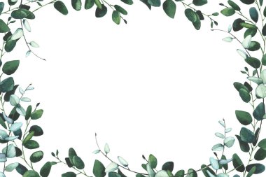 Suluboya el boyası yeşil, mavi, turkuaz okaliptüs dalları ve yaprak çerçevesi. Çiçek şablonu tasarımı clipart.