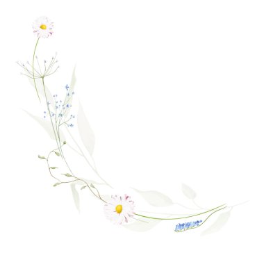 Suluboya, çiçekli, yarı dairesel kenarlık çerçevesi. Çayır mavisi tatlı bezelyeler, sarı yabani çiçekler, papatyalar, yeşil dallar, yapraklar. El çizimi tarzı illüstrasyon. Sanatsal şablon tasarımı.