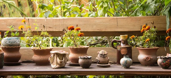 セラミック植木鉢のある静物 — ストック写真