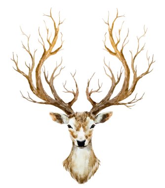 Suluboya el çekilmiş geyik