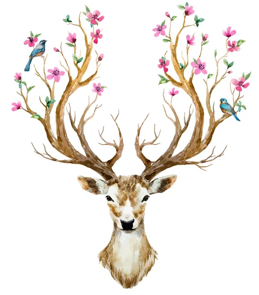 Watercolor hand drawn deer — Stock Vector