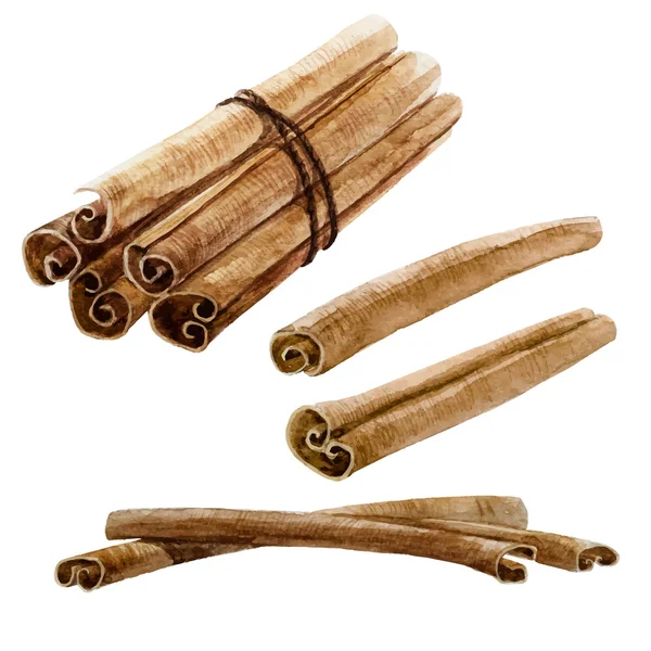 Watercolor spice cinnamon stick — Stock Vector