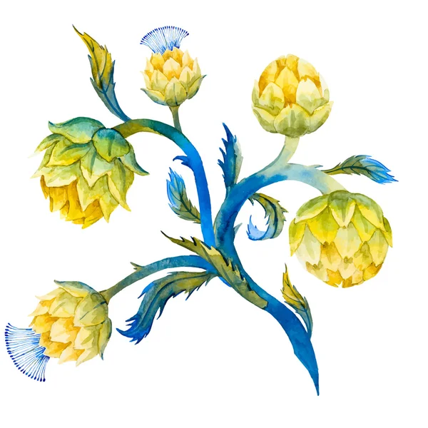 Aquarel artisjok bloem — Stockvector