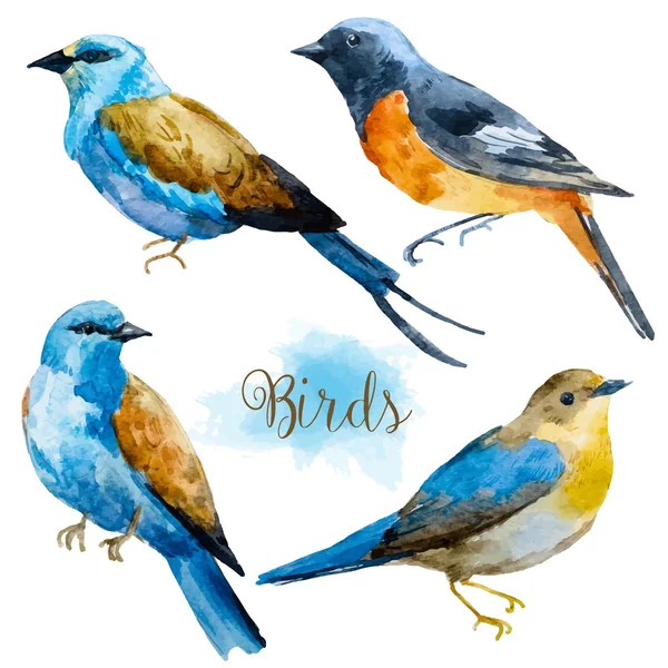 Watercolor hand drawn birds — Stock Vector