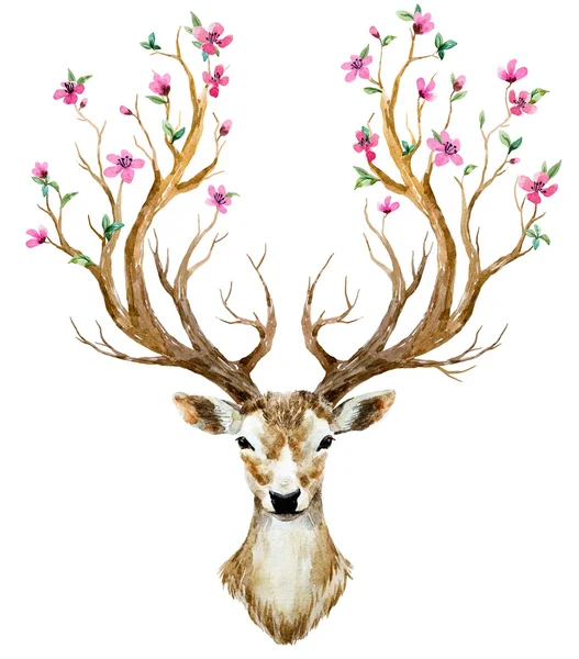 Acquerello disegnato a mano cervo — Foto Stock