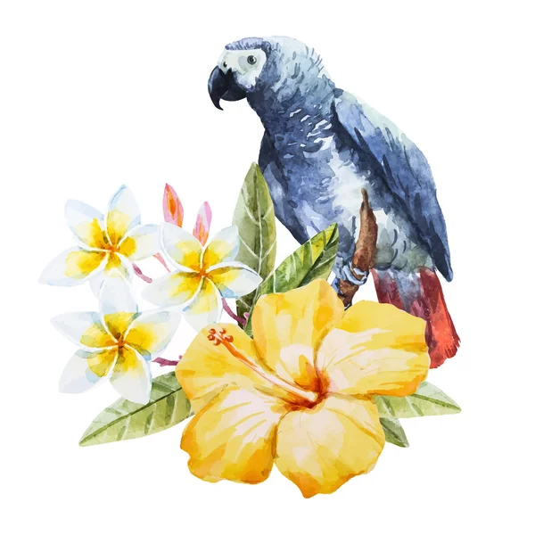 Flor de hibisco aquarela e papagaio — Vetor de Stock
