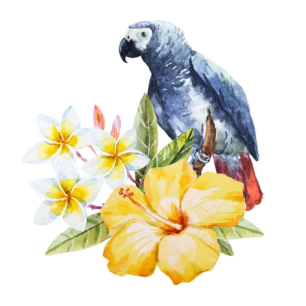 Watercolor hibiscus flower and parrot — Stock Photo, Image