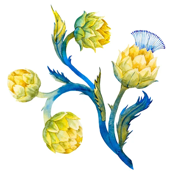 Aquarell Artischockenblume — Stockfoto