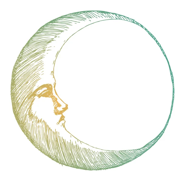 Боку звернено місяць — стоковий вектор