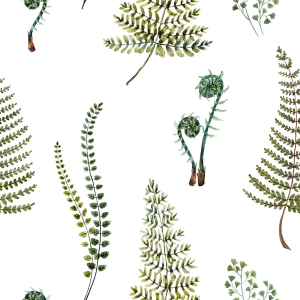 Aquarel fern patroon — Stockvector